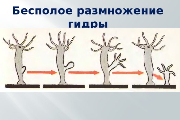 Kraken зеркало kraken dark link