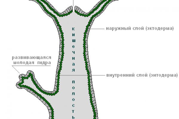 Кракен сайт kr2web in официальный ссылка