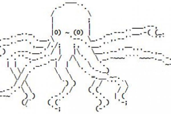 Kraken 12