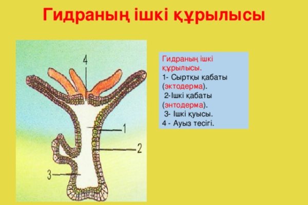 Оригинальная ссылка на магазин кракен