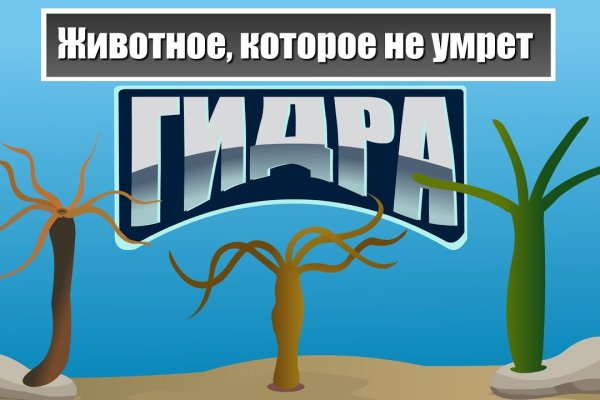 Кракен последние ссылки